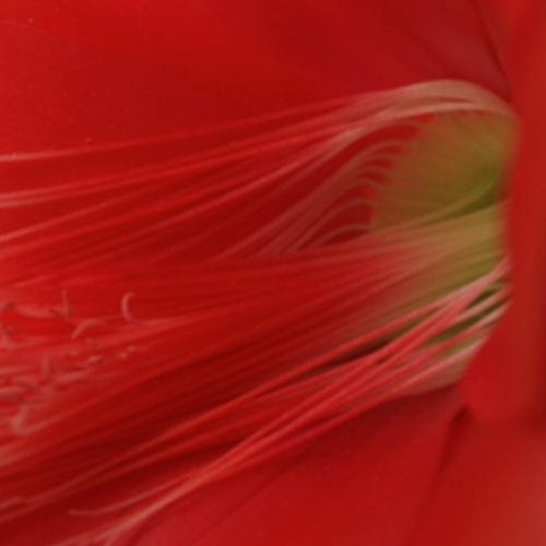 Tangled dark threads on light surface