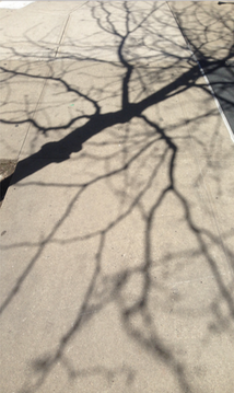 Cream jacket with colorful embroidery hanging