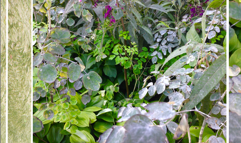 Tangled dark threads on light surface