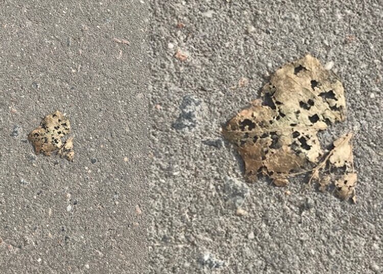 Tangled dark threads on light surface