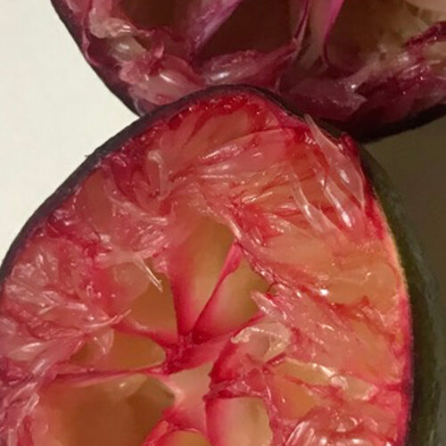 Cream jacket with colorful embroidery hanging