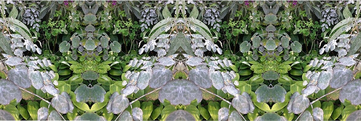 Single maple leaf on textured concrete