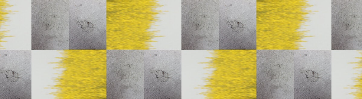 Single maple leaf on textured concrete