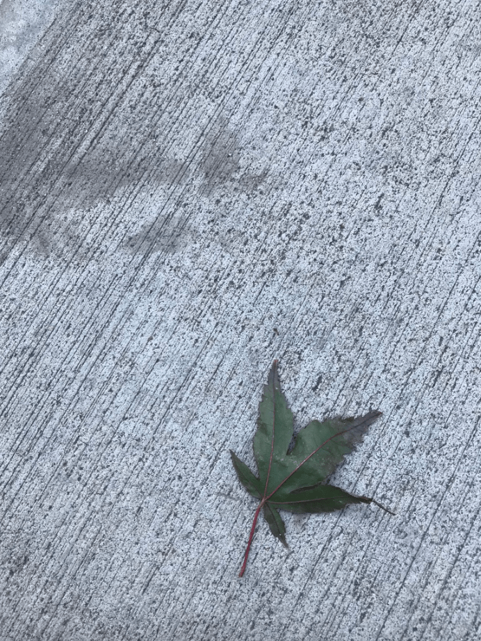 Abstract blurry lights