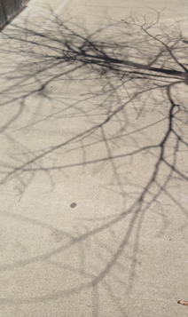 Tangled dark threads on light surface