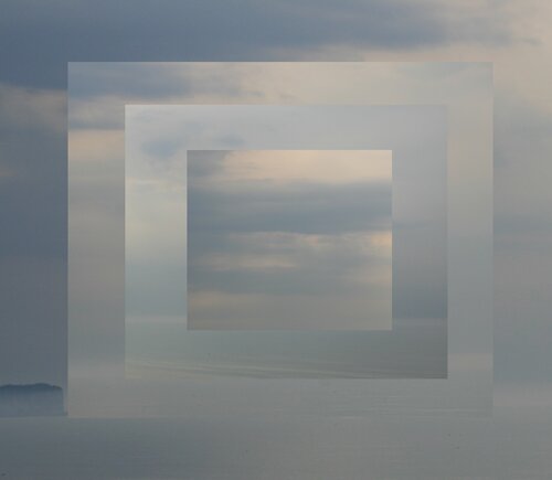 Tangled dark threads on light surface